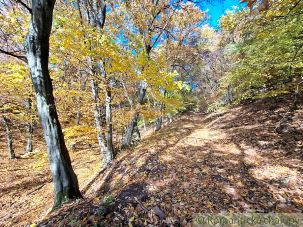 Rekreačný pozemok na predaj 3000m2, Chľaba, 179237_17