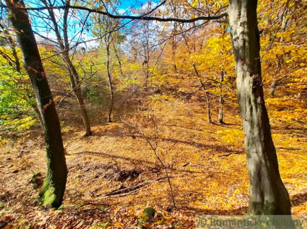 Rekreačný pozemok na predaj 3000m2, Chľaba, 179237_18
