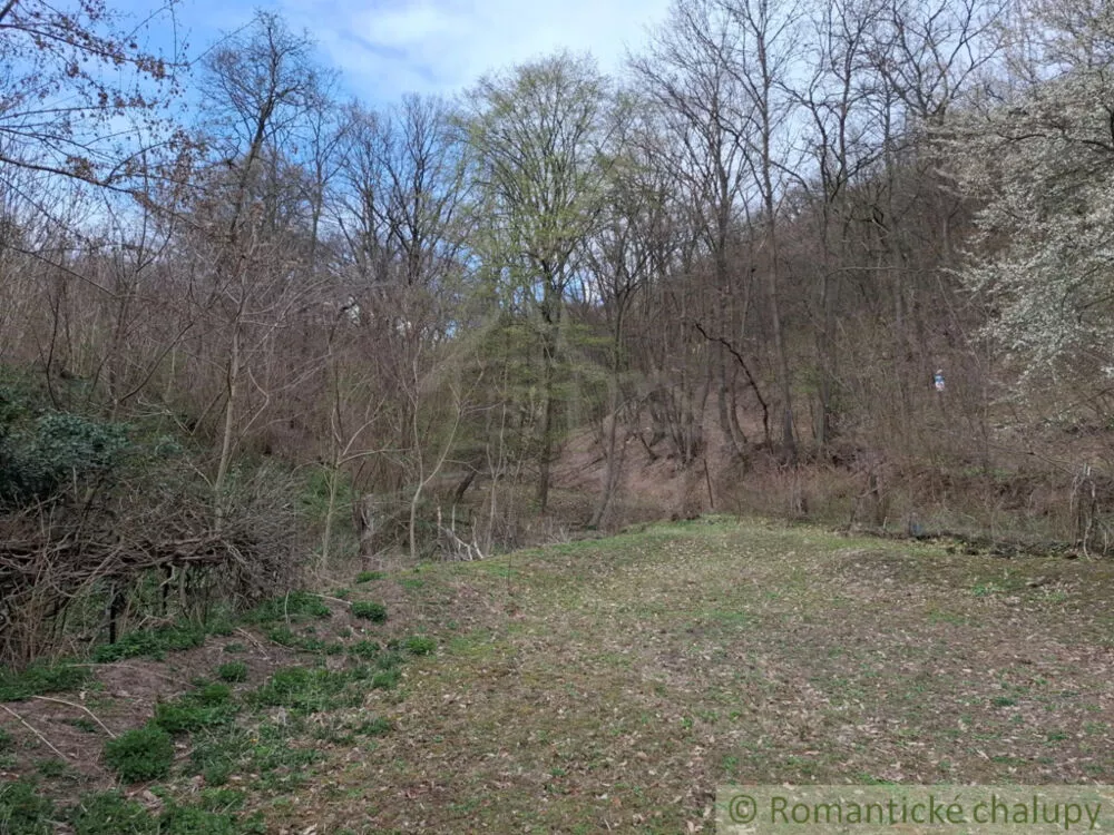 Chata a chalupa na predaj 80m2, Chľaba, 179266_26