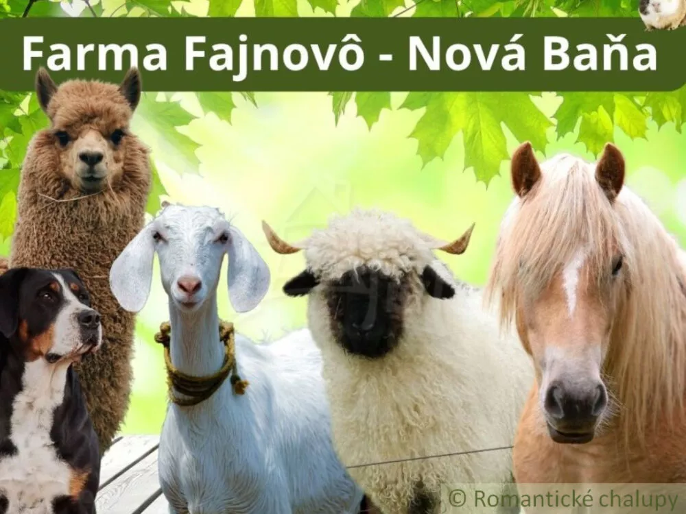 Rodinný dom na predaj 63m2, Nová Baňa, 150056_16