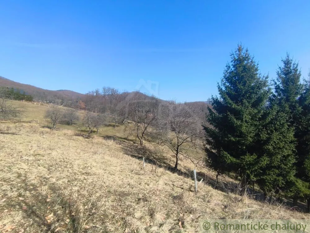 Lúka, pasienok na predaj 2963m2, Nová Baňa, 178320_1