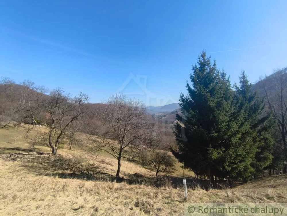 Lúka, pasienok na predaj 2963m2, Nová Baňa, 178320_2