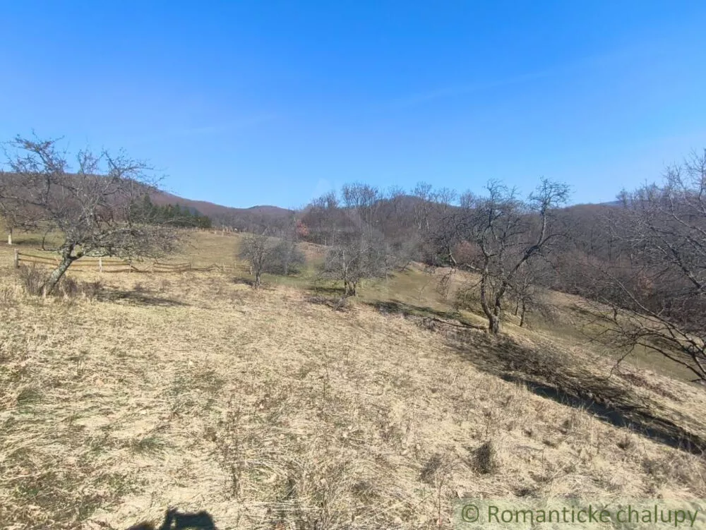 Lúka, pasienok na predaj 2963m2, Nová Baňa, 178320_4