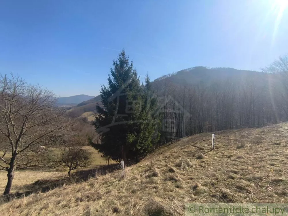 Lúka, pasienok na predaj 2963m2, Nová Baňa, 178320_6