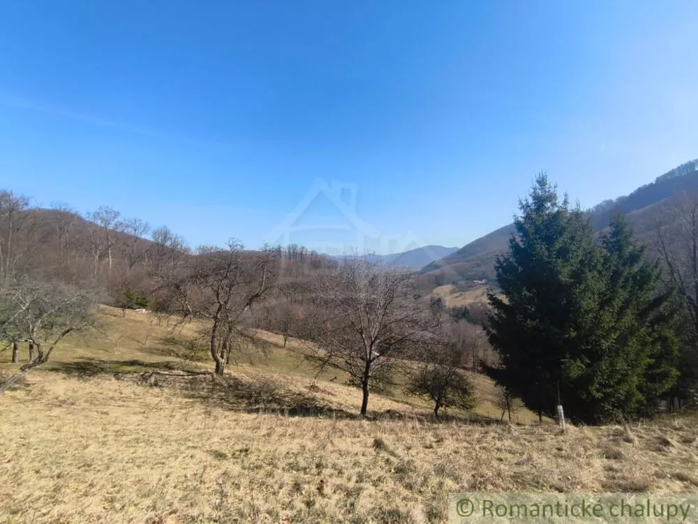 Lúka, pasienok na predaj 2963m2, Nová Baňa, 178320_8