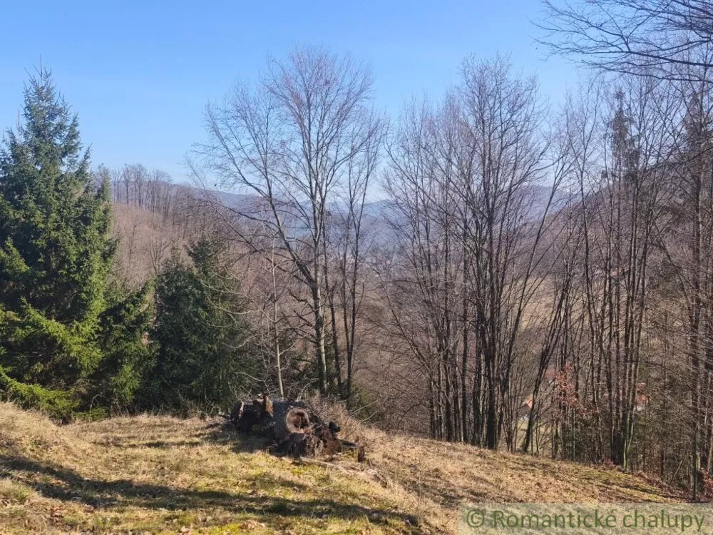 Lúka, pasienok na predaj 2963m2, Nová Baňa, 178320_9