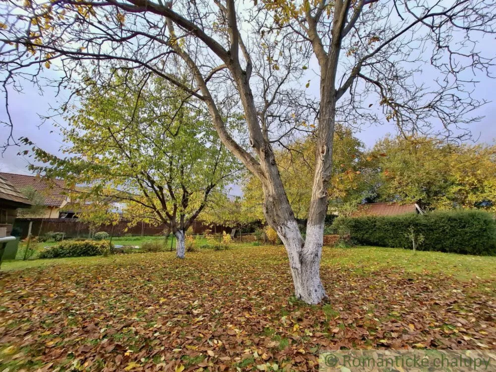 Rodinný dom na predaj 99m2, Divín, 160973_18