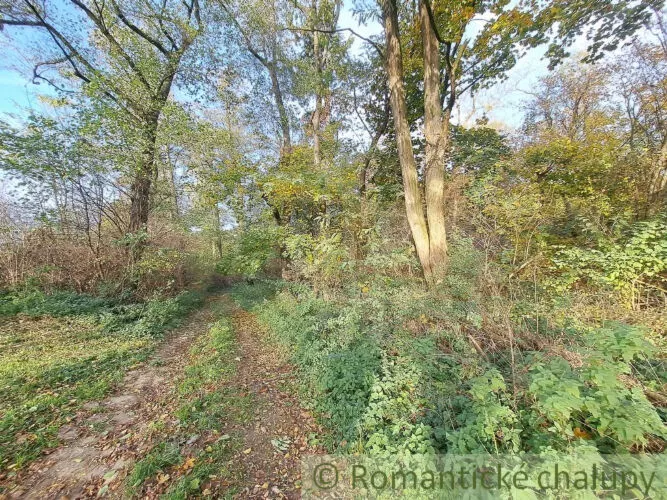 Rekreačný pozemok na predaj 8938m2, Horné Lefantovce, 146965_6