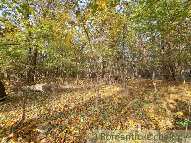 Rekreačný pozemok na predaj 8938m2, Horné Lefantovce, 146965_7