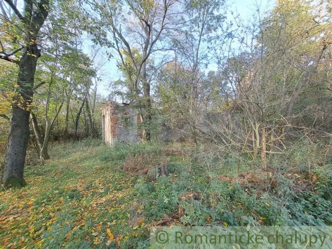 Rekreačný pozemok na predaj 8938m2, Horné Lefantovce, 146965_9