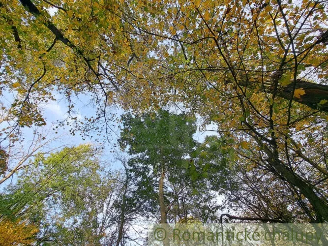 Rekreačný pozemok na predaj 8938m2, Horné Lefantovce, 146965_12
