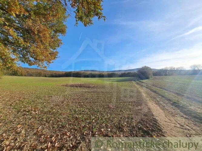 Rekreačný pozemok na predaj 8938m2, Horné Lefantovce, 146965_16