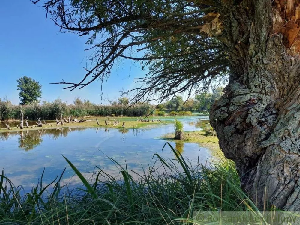 Pozemok pre rod. domy na predaj 1522m2, Martovce, 125542_13