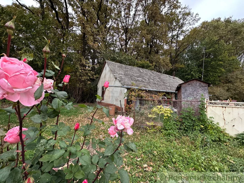 Rodinný dom na predaj 80m2, Dedina Mládeže, 160798_7