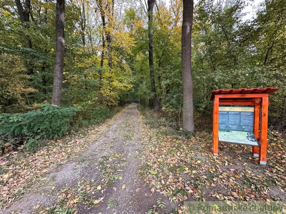 Rodinný dom na predaj 80m2, Dedina Mládeže, 160798_9