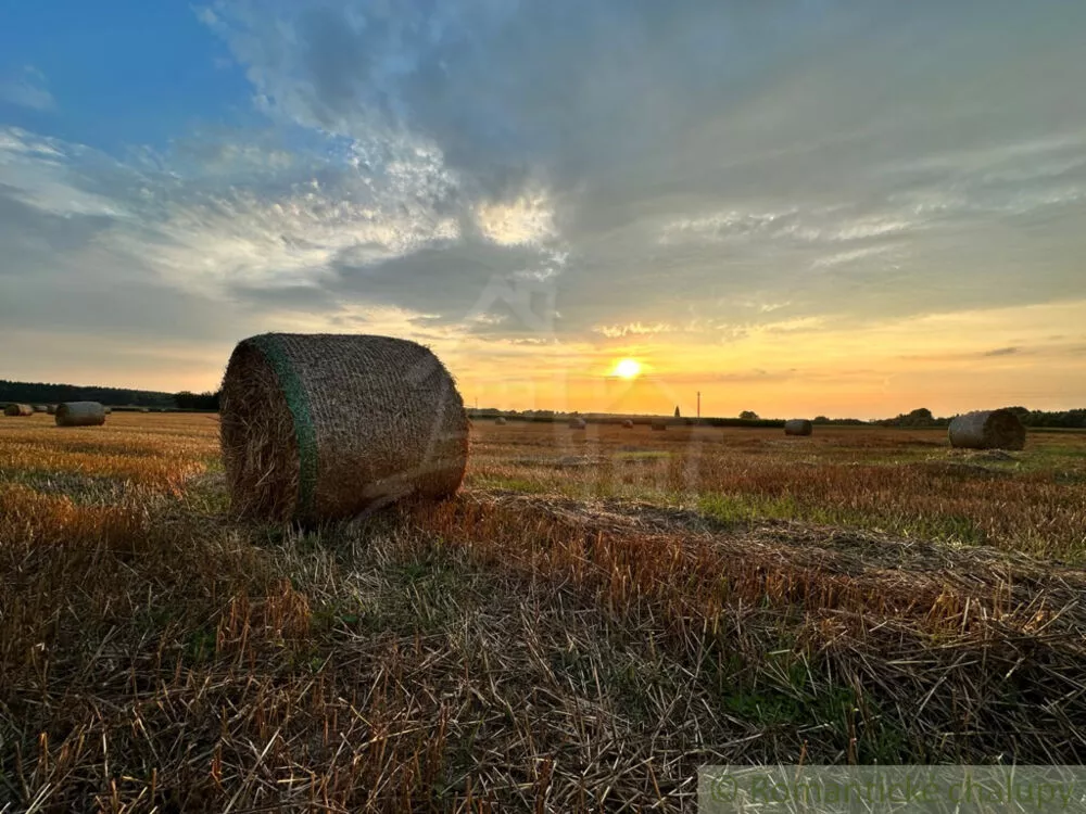 Rodinný dom na predaj 80m2, Dedina Mládeže, 160798_12