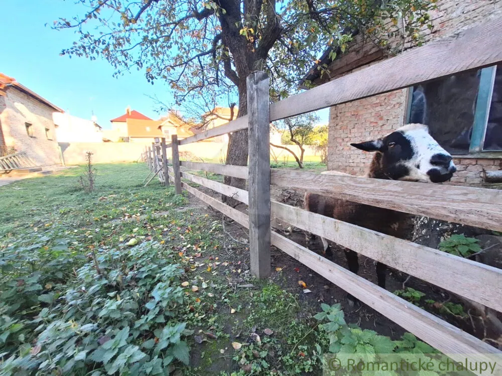 Historický objekt na predaj 170m2, Štúrovo, 179326_25