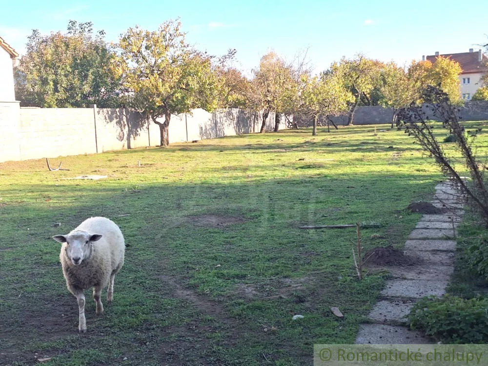 Historický objekt na predaj 170m2, Štúrovo, 179326_26