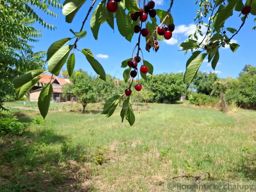 Záhrada na predaj 2191m2, Moča, 179333_4