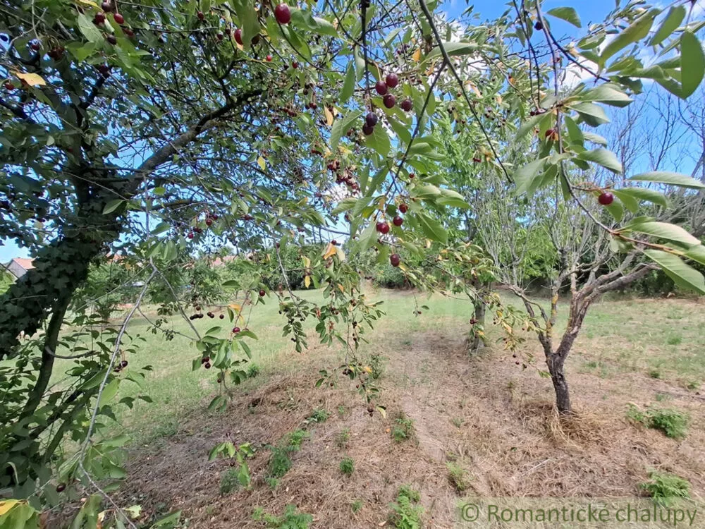 Záhrada na predaj 2191m2, Moča, 179333_5