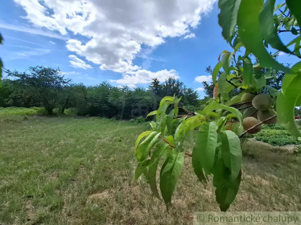 Záhrada na predaj 2191m2, Moča, 179333_8