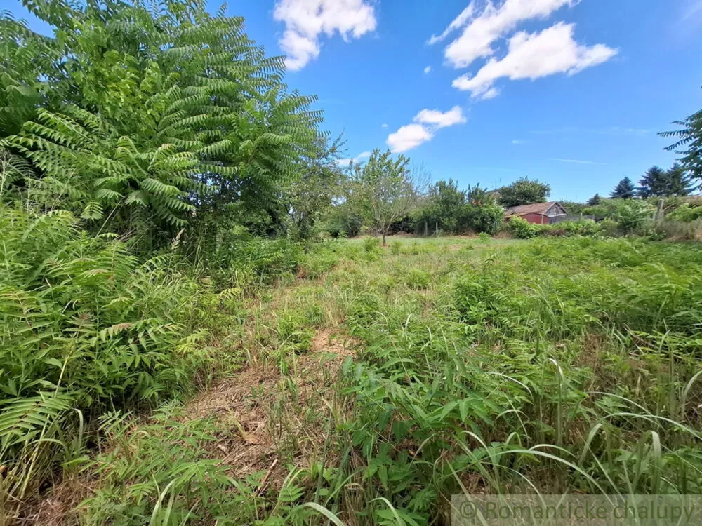 Záhrada na predaj 2191m2, Moča, 179333_9