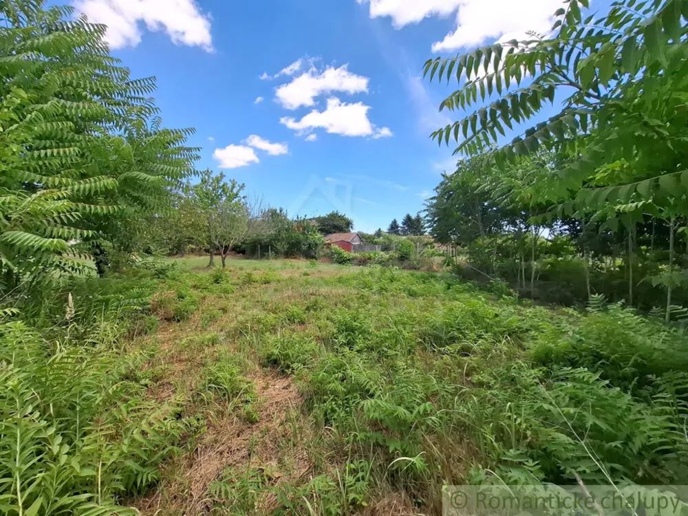 Záhrada na predaj 2191m2, Moča, 179333_10
