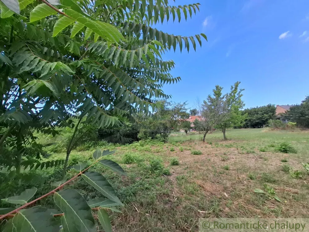 Záhrada na predaj 2191m2, Moča, 179333_11