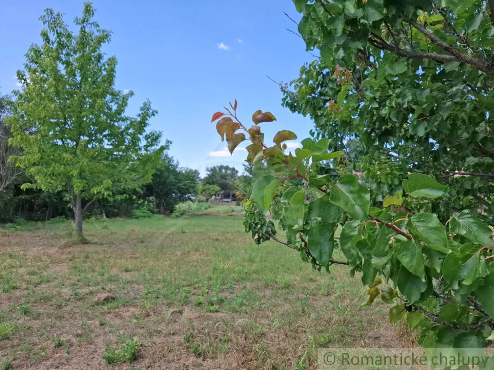 Záhrada na predaj 2191m2, Moča, 179333_12