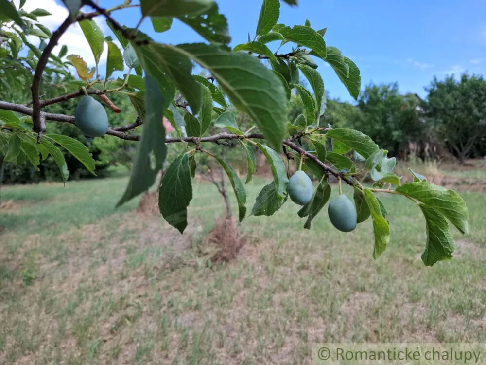 Záhrada na predaj 2191m2, Moča, 179333_14