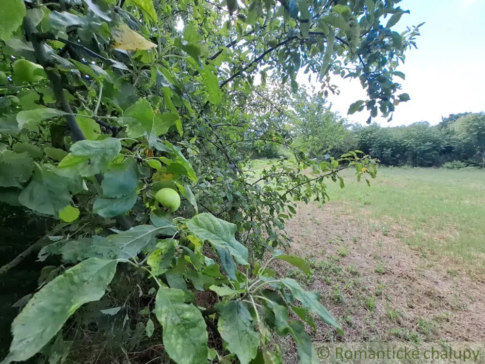 Záhrada na predaj 2191m2, Moča, 179333_16