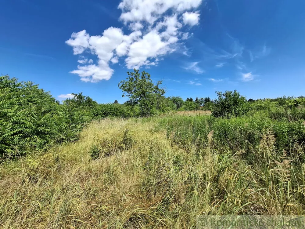 Záhrada na predaj 2191m2, Moča, 179333_21