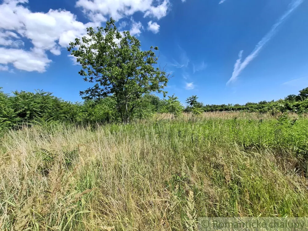 Záhrada na predaj 2191m2, Moča, 179333_22