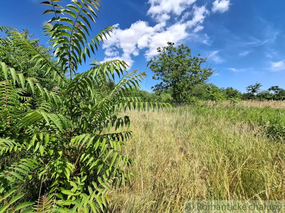 Záhrada na predaj 2191m2, Moča, 179333_23