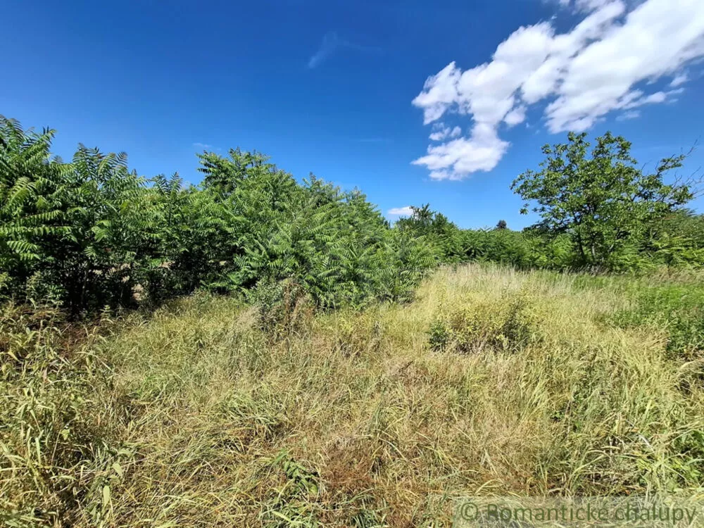 Záhrada na predaj 2191m2, Moča, 179333_27