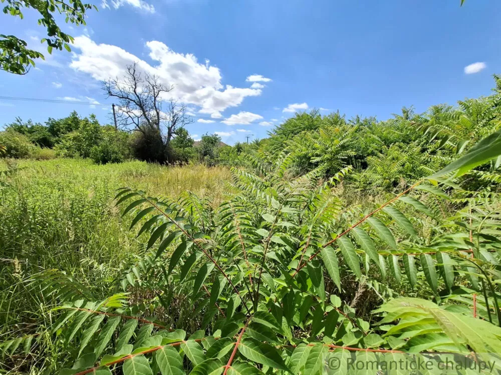 Záhrada na predaj 2191m2, Moča, 179333_28