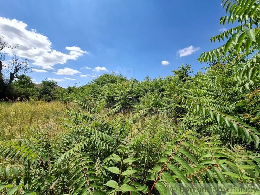 Záhrada na predaj 2191m2, Moča, 179333_29