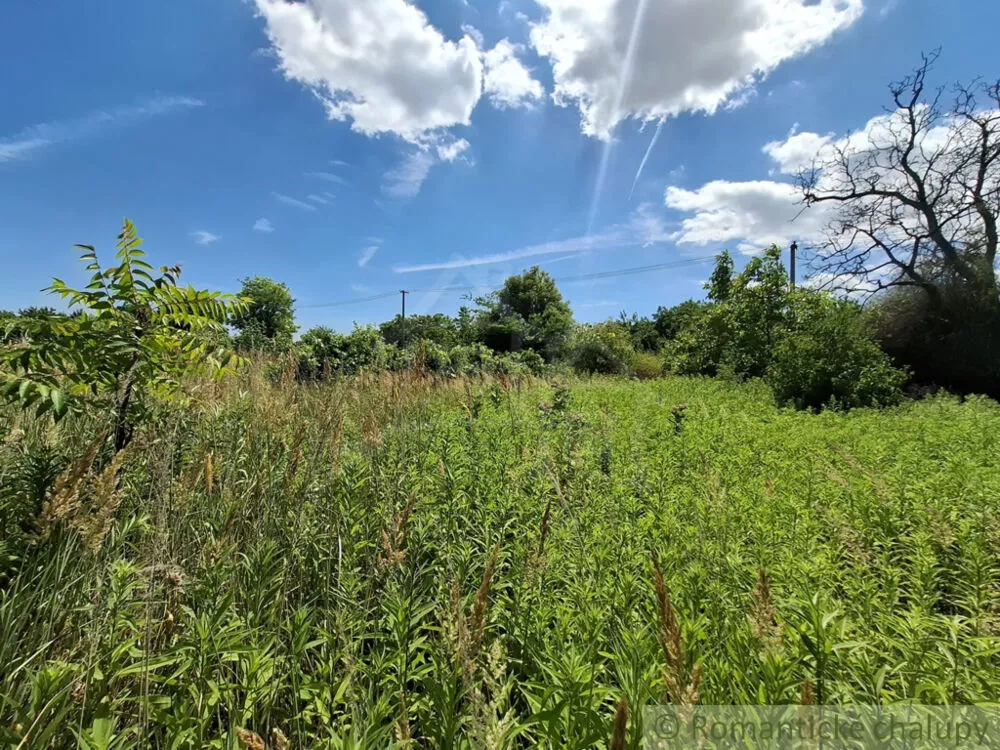 Záhrada na predaj 2191m2, Moča, 179333_30