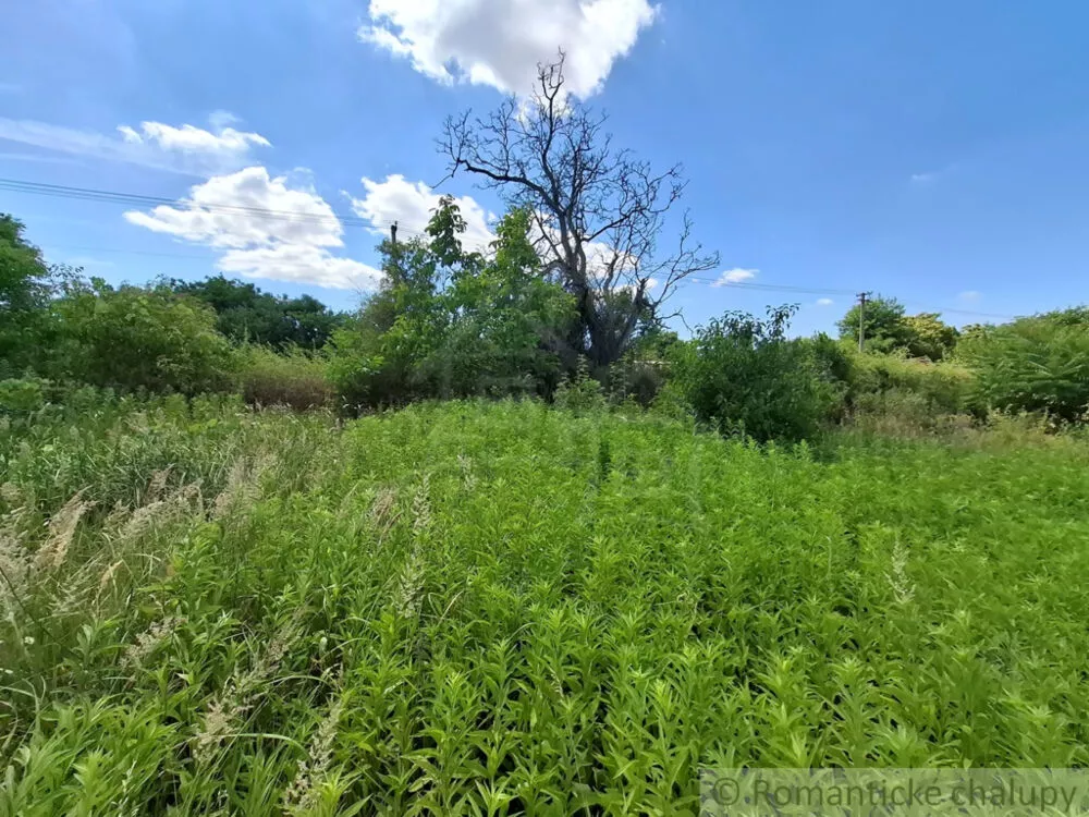 Záhrada na predaj 2191m2, Moča, 179333_31