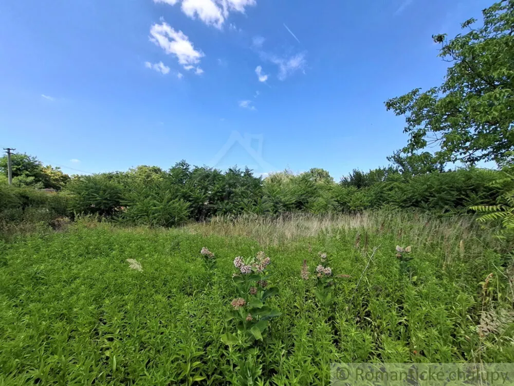 Záhrada na predaj 2191m2, Moča, 179333_32