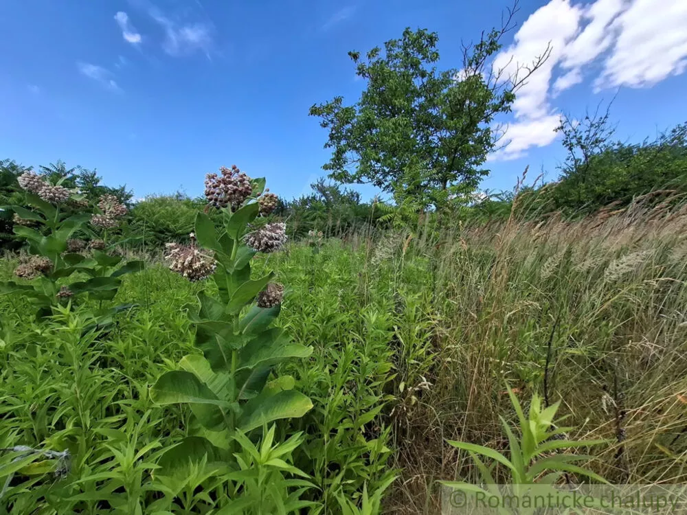 Záhrada na predaj 2191m2, Moča, 179333_33
