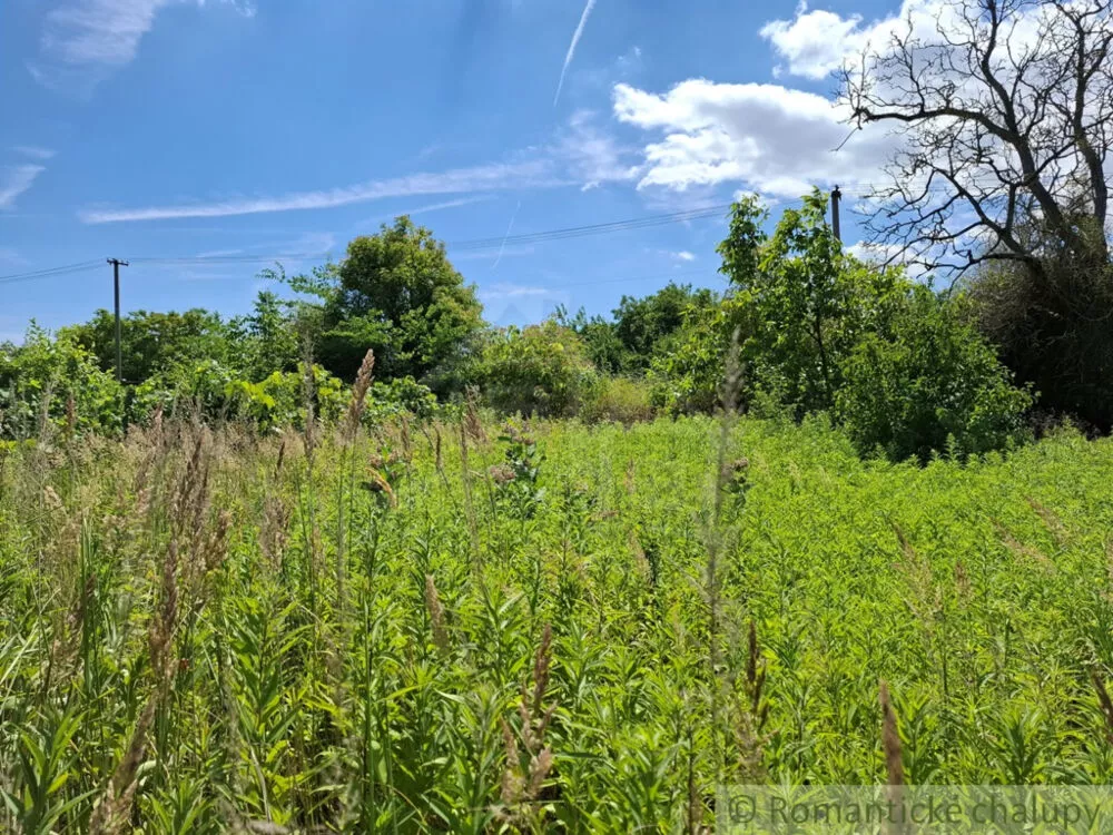 Záhrada na predaj 2191m2, Moča, 179333_36