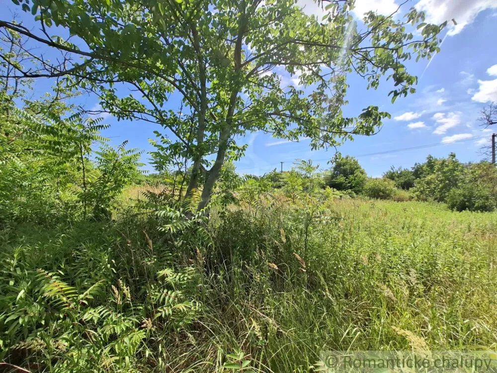 Záhrada na predaj 2191m2, Moča, 179333_37