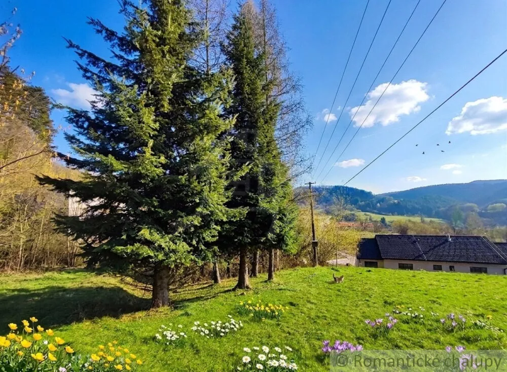 Lúka, pasienok na predaj 5040m2, Ľubietová, 178914_7