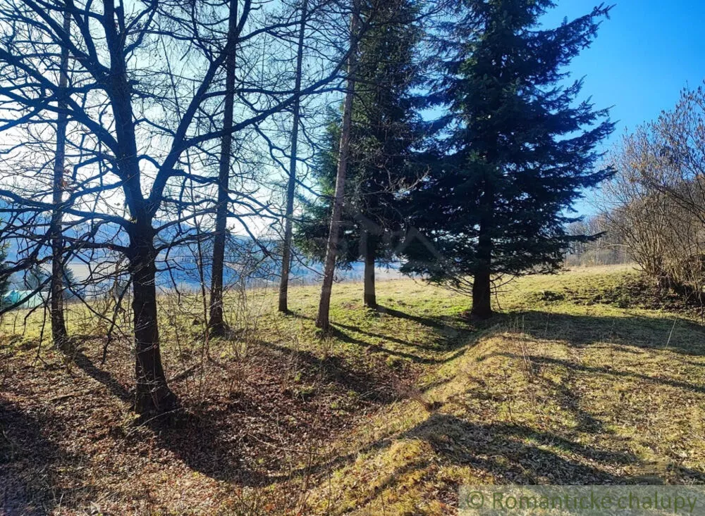 Lúka, pasienok na predaj 5040m2, Ľubietová, 178914_9