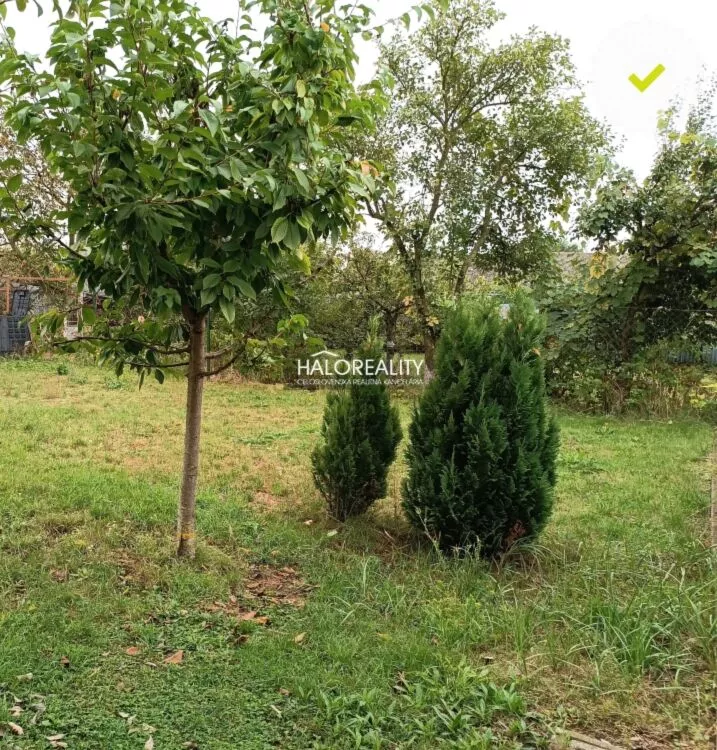 Rodinný dom na predaj 240m2, Trebišov, 144426_15