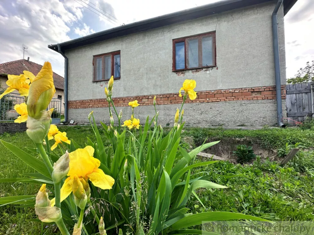 Rodinný dom na predaj 100m2, Radava, 156560_2