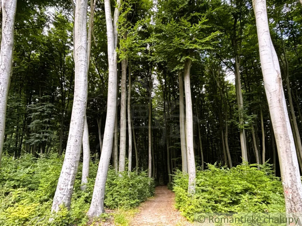 Chata a chalupa na predaj 45m2, Stupava, 152333_20