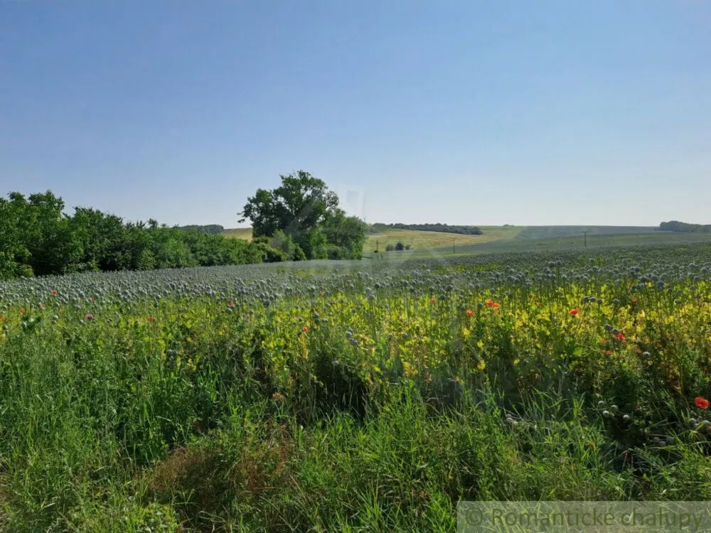 Rodinný dom na predaj 95m2, Dvorníky, 177964_31