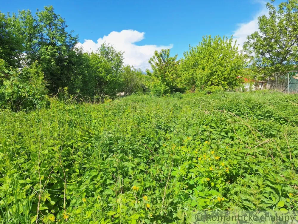 Záhrada na predaj 715m2, Nová Vieska, 179391_0